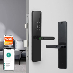 Automatic Wifi App Biometric Fingerprint Smart Door Lock