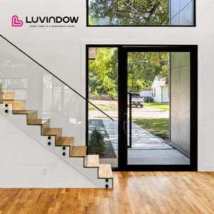 Modern Style Main Entrance Heat Insulated Double Glazed Glass Pivot Door
