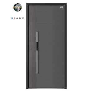 Modern Minimalist Aluminum Security Entry Side Opening Sliding Door
