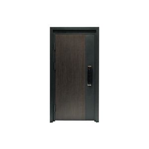 Exterior Residential Modern Aluminum Security Door