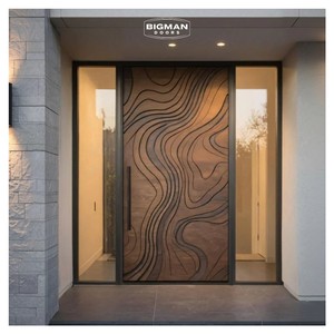 American Residential Modern Main Entrance Door