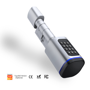 Tuya Smart Outdoor Wood Door Lock Keyless WiFi Connected