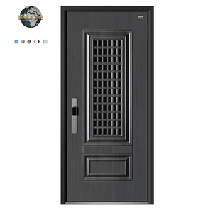 Modern Minimalist Anti-Theft Aluminum Alloy Entry Door