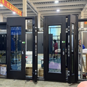 Modern Black Profile Villa Aluminum Entry Door
