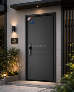 Soundproof Steel Pivot Security Door